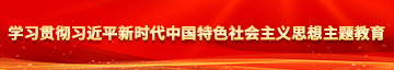 美女艹逼尻学习贯彻习近平新时代中国特色社会主义思想主题教育